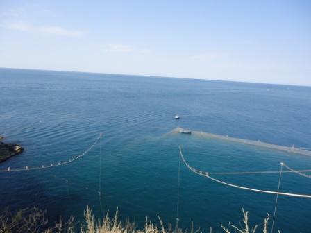 Рыбаки ставят сети